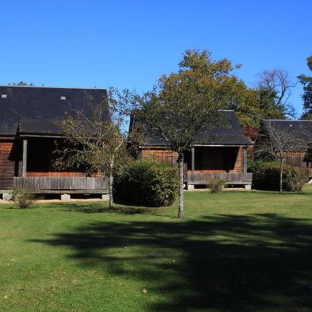 Les Chalets De Mur De Sologne Mur-de-Sologne Luaran gambar